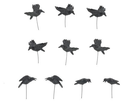 Set of 10 Halloween Crows Supply