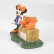 Minnie Picks A Winner Discount