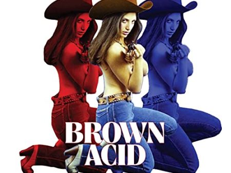 VARIOUS ARTISTS - BROWN ACID - THE THIRTEENTH TRIP (VARIOUS ARTISTS) (VINYL) on Sale