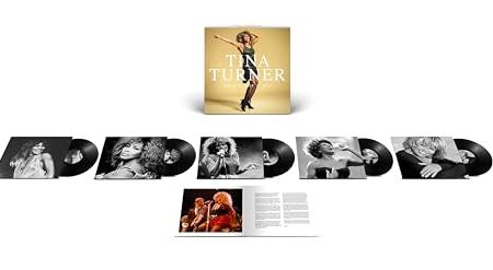 TINA TURNER - QUEEN OF ROCK  N  ROLL (VINYL) For Discount