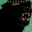 BLACKFOOT - TOMCATTIN  (ROCK CANDY) Online Sale