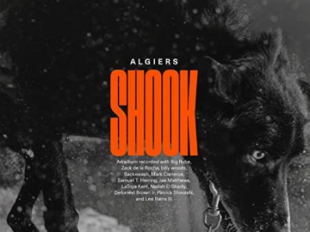 SHOOK (CD) Online