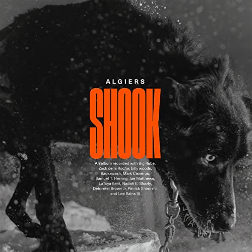 SHOOK (CD) Online