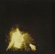 WOLF ALICE - MY LOVE IS COOL (CD) Hot on Sale